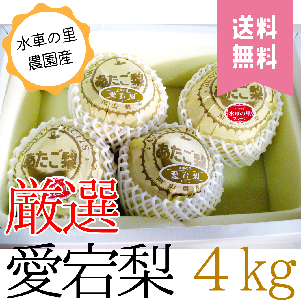 送料無料】愛宕梨 贈答用 4kg箱 | 水車の里フルーツトピア