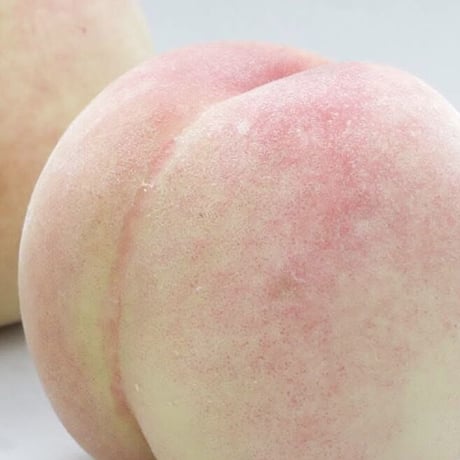 岡山県産白桃「白麗」約4キロ　※発送時期8月上旬～8月中旬