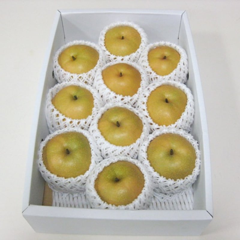 岡山県矢掛町産「豊水梨」贈答品約4キロ ※発送時期8月下旬～9月下旬