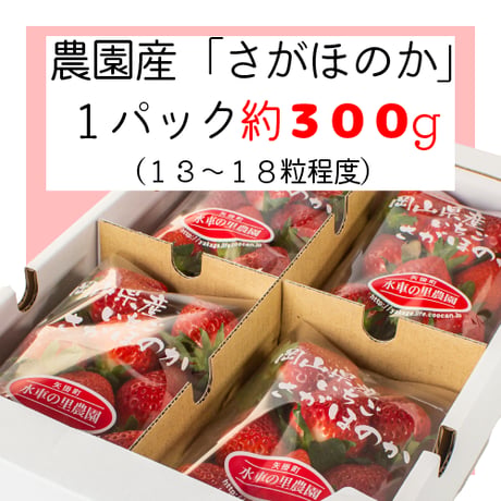【予約販売】さがほのか 苺 4パック入【送料無料】