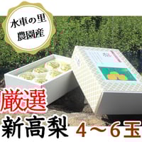 新高梨 贈答用 4kg箱発送10月上旬～10月下旬