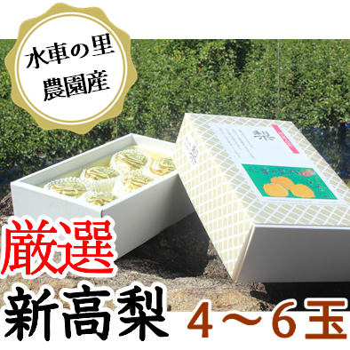 新高梨 贈答用 4kg箱発送10月上旬～10月下旬 | 水車の里フルーツトピア