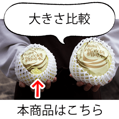 【送料無料】新高梨 贈答用 3玉入り