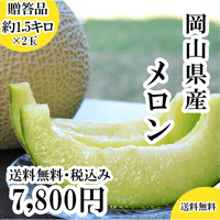 岡山県産メロン2個（約1.5キロ×2個）　※発送時期7月中旬～8月中旬