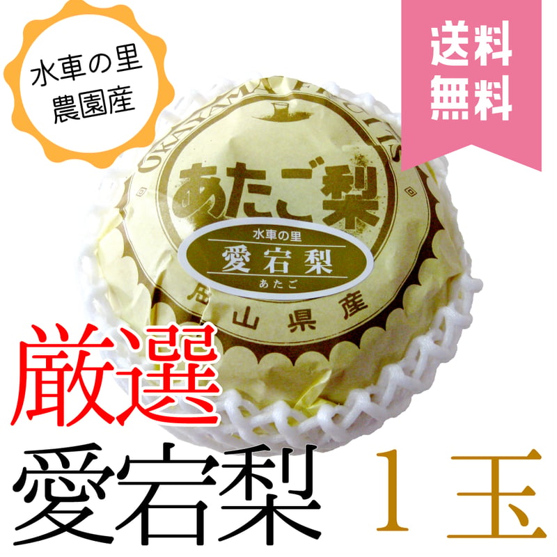 送料無料】愛宕梨 贈答用 1玉入り | 水車の里フルーツトピア