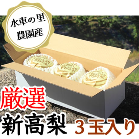 【送料無料】新高梨 贈答用 3玉入り