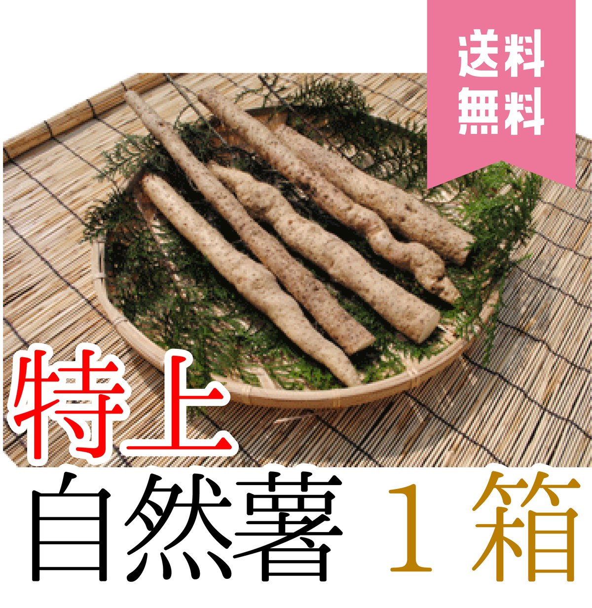 送料無料】自然薯 【特上】発送時期11月下旬～12月中旬 | 水車の