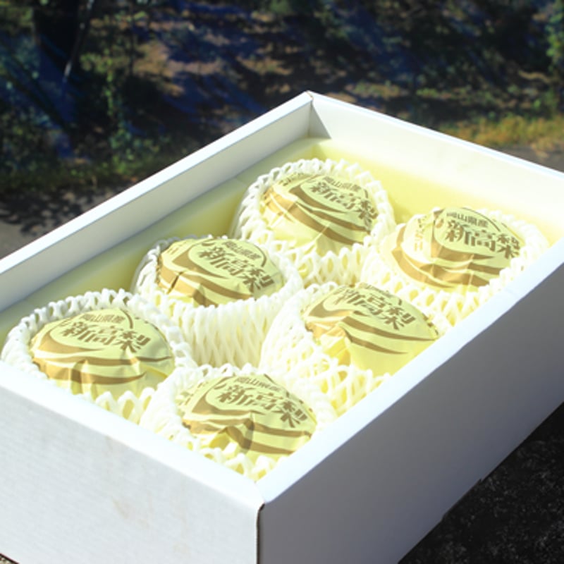 梨 新高梨 10玉を2箱 05 梨 新高梨 10玉を2箱 05