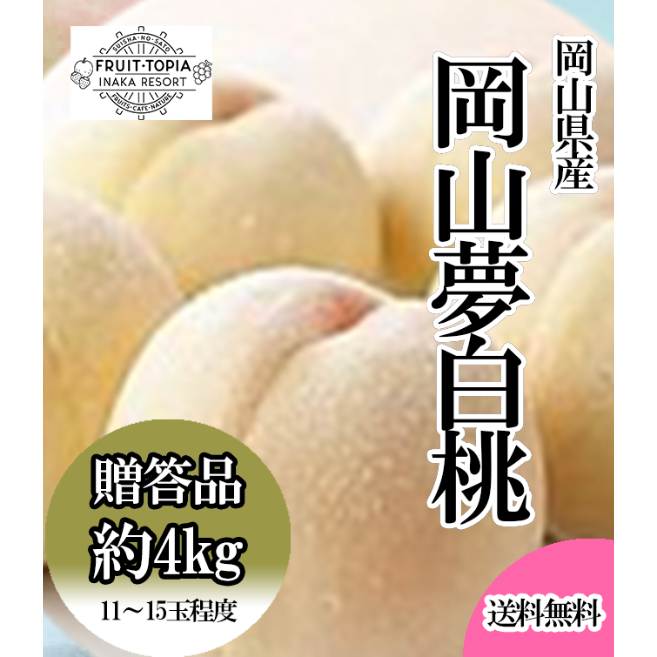 岡山県産白桃「岡山夢白桃」約4キロ ※発送時期7月下旬～8月上旬 | 水車