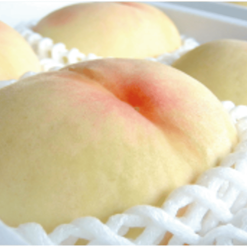 ラベンダー　岡山の白桃　8/16収穫発送 ラベンダー 岡山の白桃 8/16収穫発送 桃 2026年 先行予約 岡山