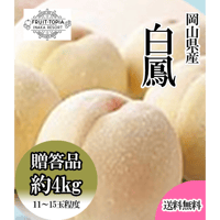 岡山県産白桃「白鳳」約4キロ　※発送時期7月上旬～7月下旬