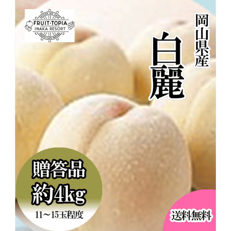 岡山県産白桃「白麗」約4キロ ※発送時期8月上旬～8月中旬 | 水車の里