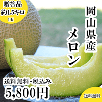 岡山県産メロン1個（約1.5キロ）　※発送時期7月中旬～8月中旬