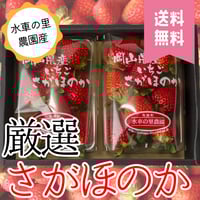 プレミアム　さがほのか 苺 ２パック入【送料無料】
