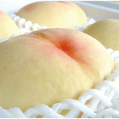 岡山県産白桃「白麗」約4キロ　※発送時期8月上旬～8月中旬