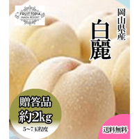 白桃 🍑さくら白桃 3kg 8～14玉 9月上旬発送 希少な桃 【ASIAGAP認証