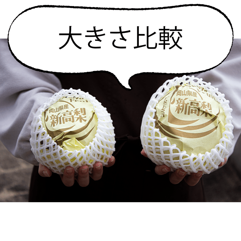 梨 新高梨 10玉を2箱 05 梨 新高梨 10玉を2箱 05