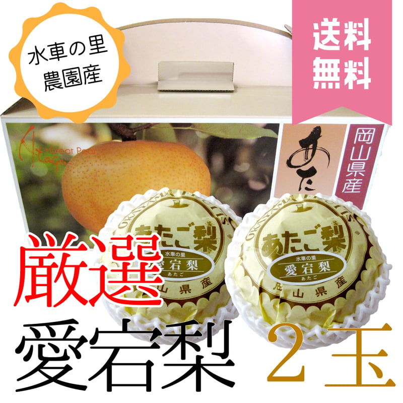 食品 新春セール 梨 愛宕 家庭用 20㎏