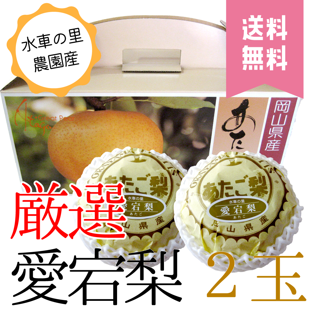 送料無料】愛宕梨 贈答用 2玉入り | 水車の里フルーツトピア