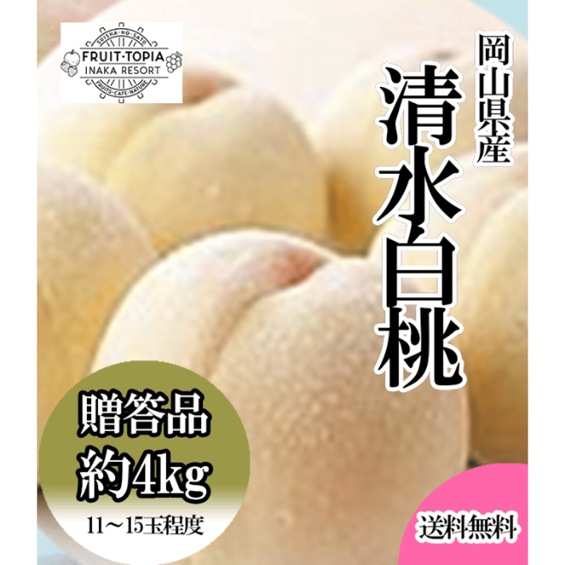 本日限定　清水白桃 ４キロ 岡山県産白桃「清水白桃」約4キロ ※発送時期7月中旬～8月上旬