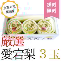 【送料無料】愛宕梨 贈答用 3玉入り