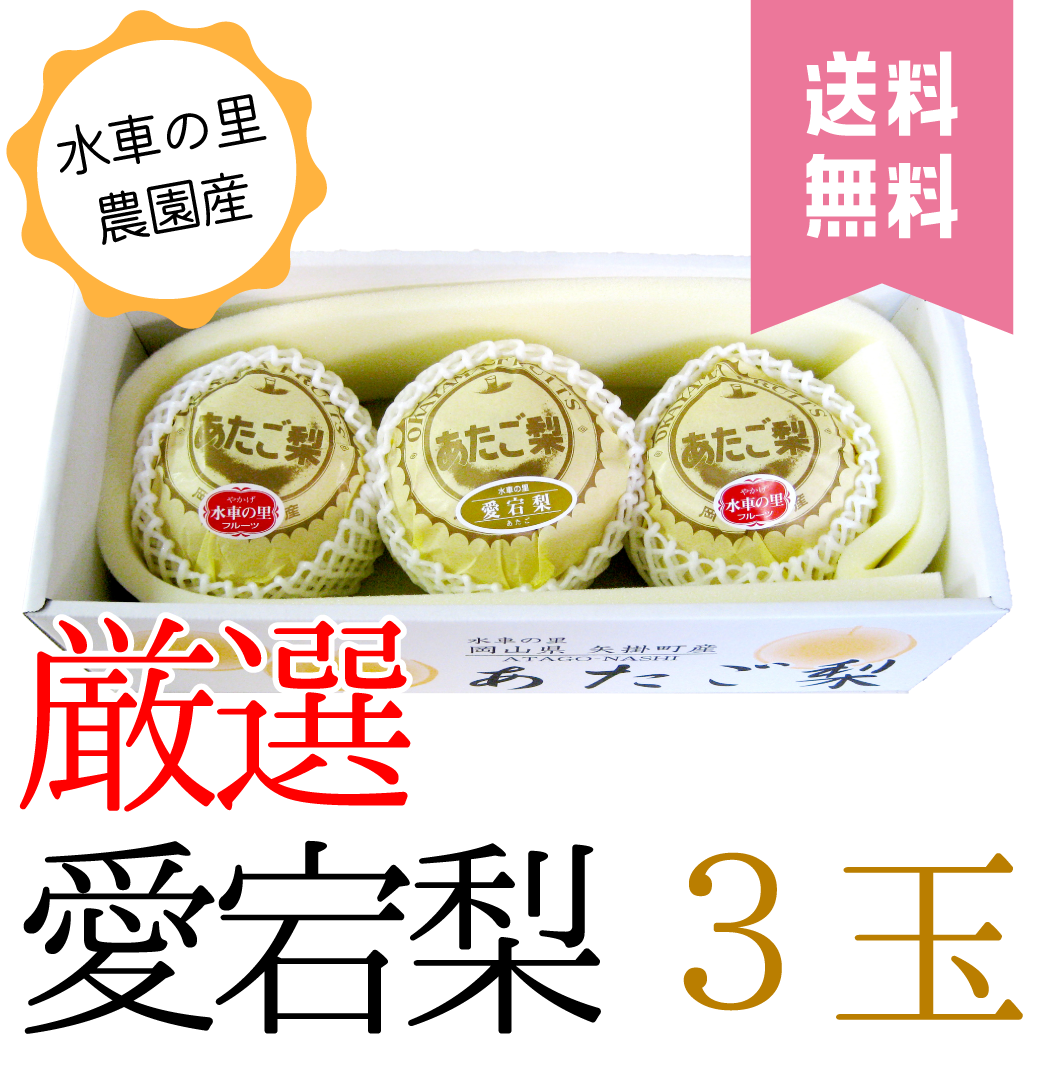 送料無料】愛宕梨 贈答用 3玉入り | 水車の里フルーツトピア
