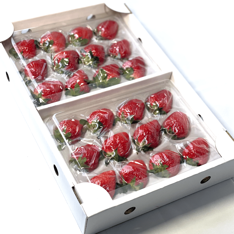 水車の里農園産 いちご贈答品 ゆりかーご12粒もしくは15粒×2ケース