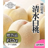 岡山県産白桃「清水白桃」約2キロ　※発送時期7月中旬～8月上旬