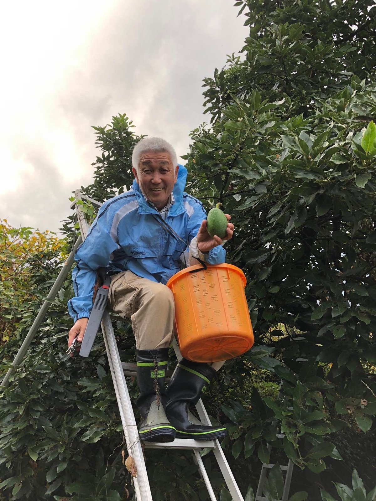 fit=scale-down,w=1200