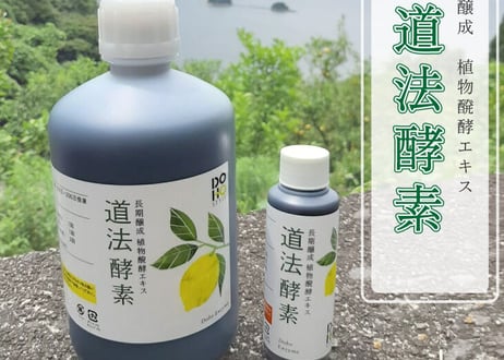 道法酵素100ML
