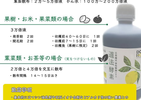 道法酵素100ML