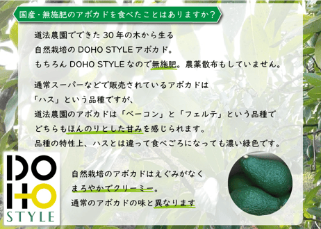 DOHO STYLE道法農園のアボカド（広島県呉市豊浜町豊島）