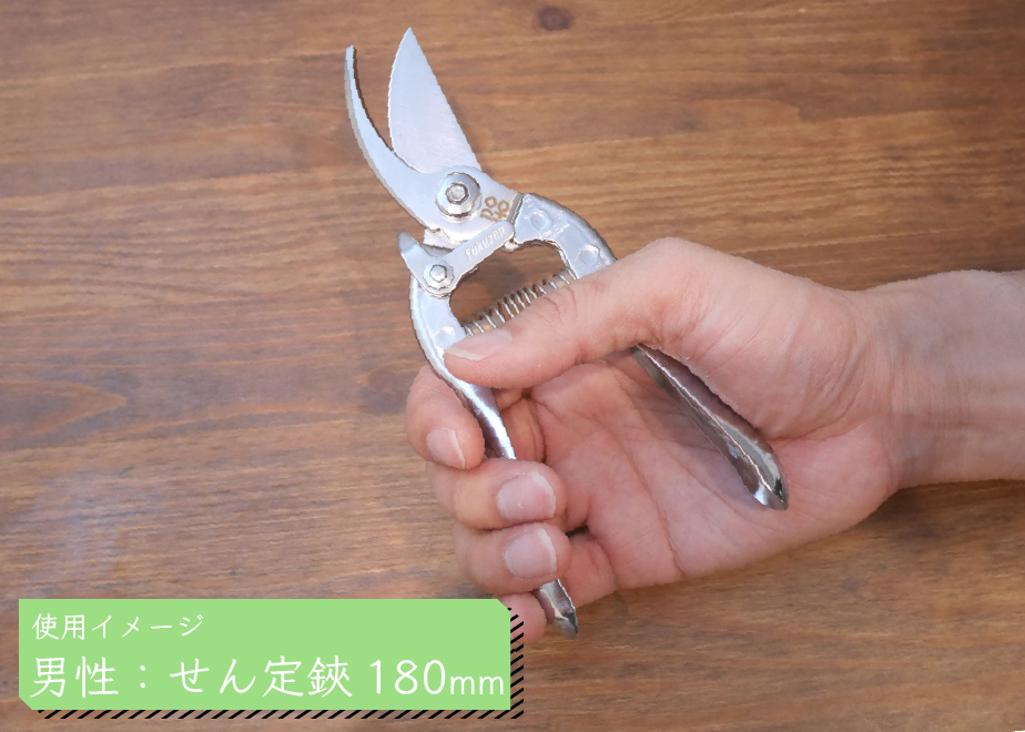 61ba06a9c725863eaf8630b1