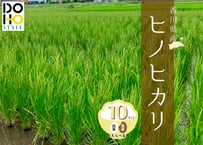 DOHO STYLE香川県産ヒノヒカリ米(10kg)