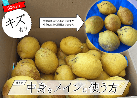 【2級品】DOHO STYLE 道法レモン