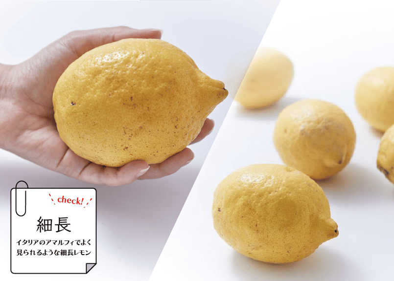 松：最高級品】DOHO STYLE 道法レモン | DOHO STYLE STORE