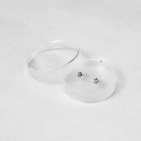 EPHEMERAL - Stud Pierce / Earring