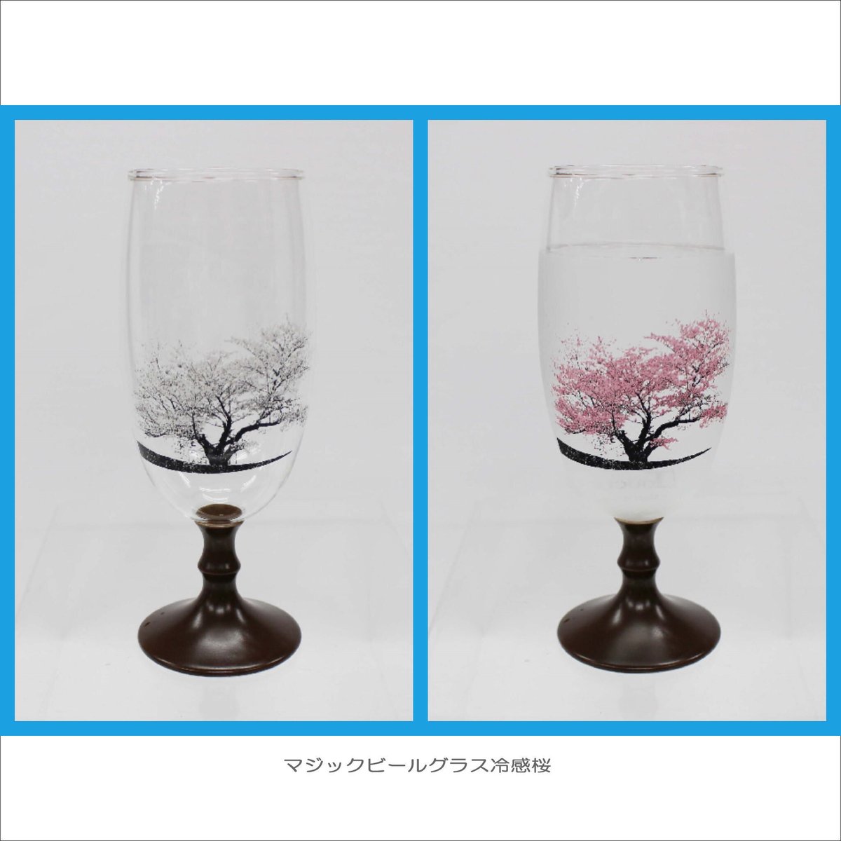 TOUCERA COLLECTION マジック冷感桜 | 陶器の店 泉屋