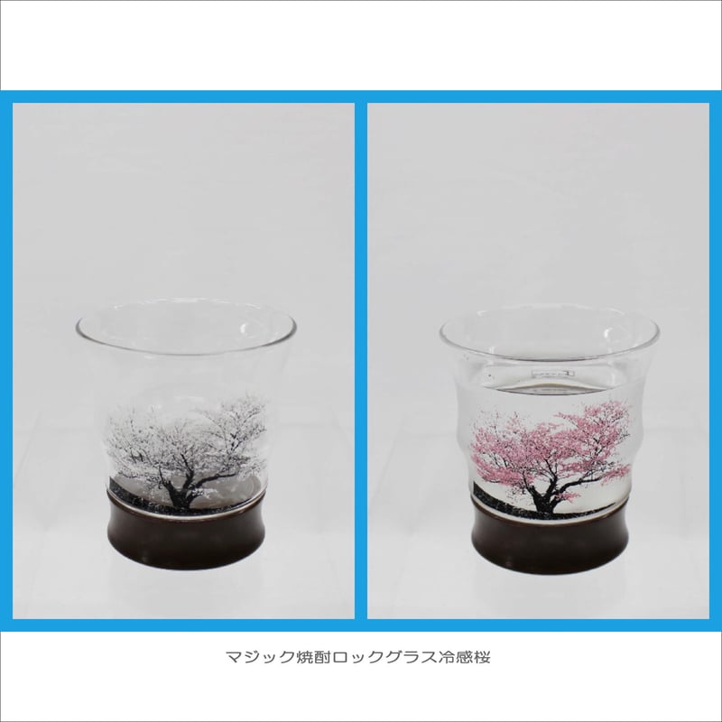 TOUCERA COLLECTION マジック冷感桜 | 陶器の店 泉屋