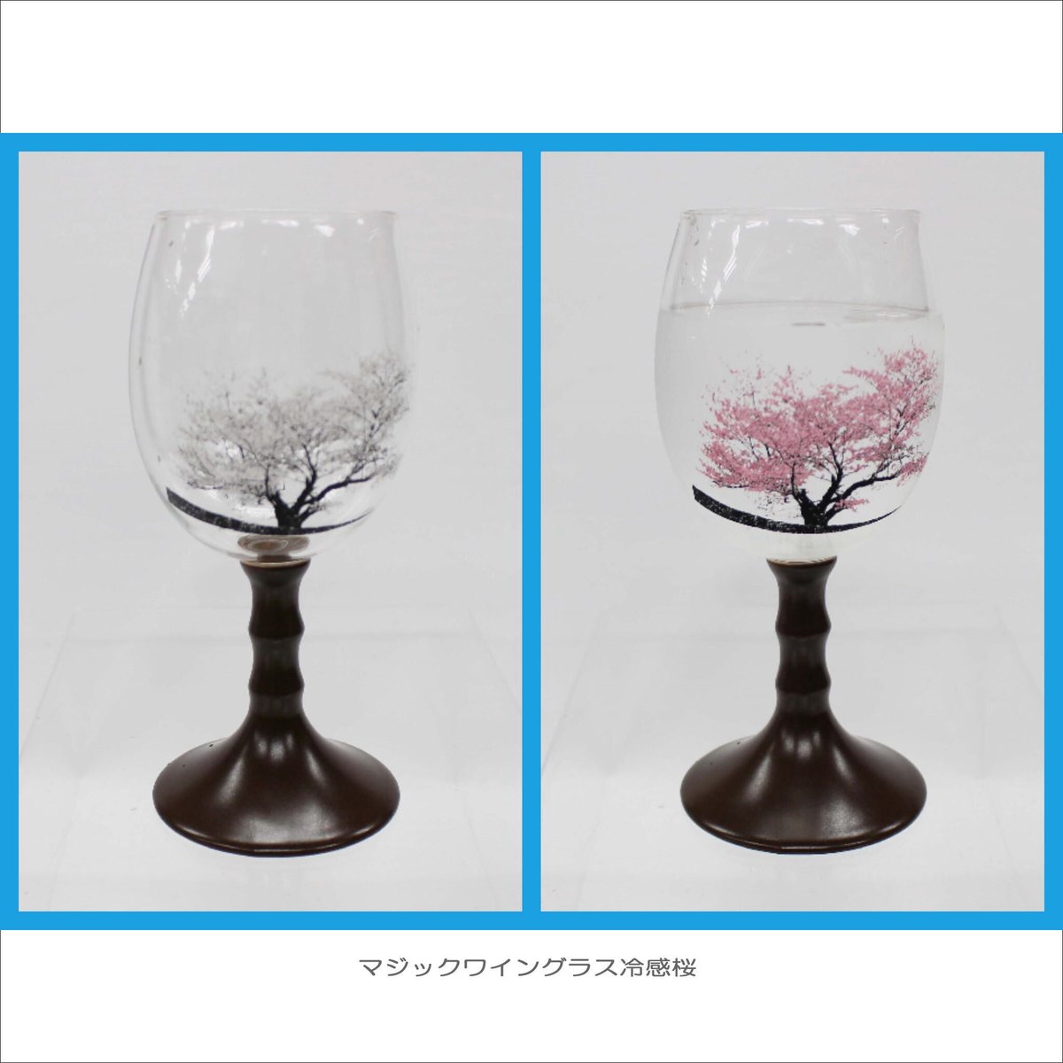 TOUCERA COLLECTION マジック冷感桜 | 陶器の店 泉屋