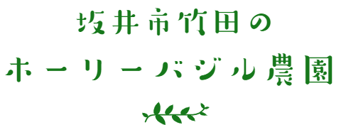 坂井市竹田のホーリーバジル農園