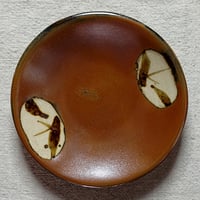 和食器 益子焼 中皿 15cm 柿釉 丸笹紋