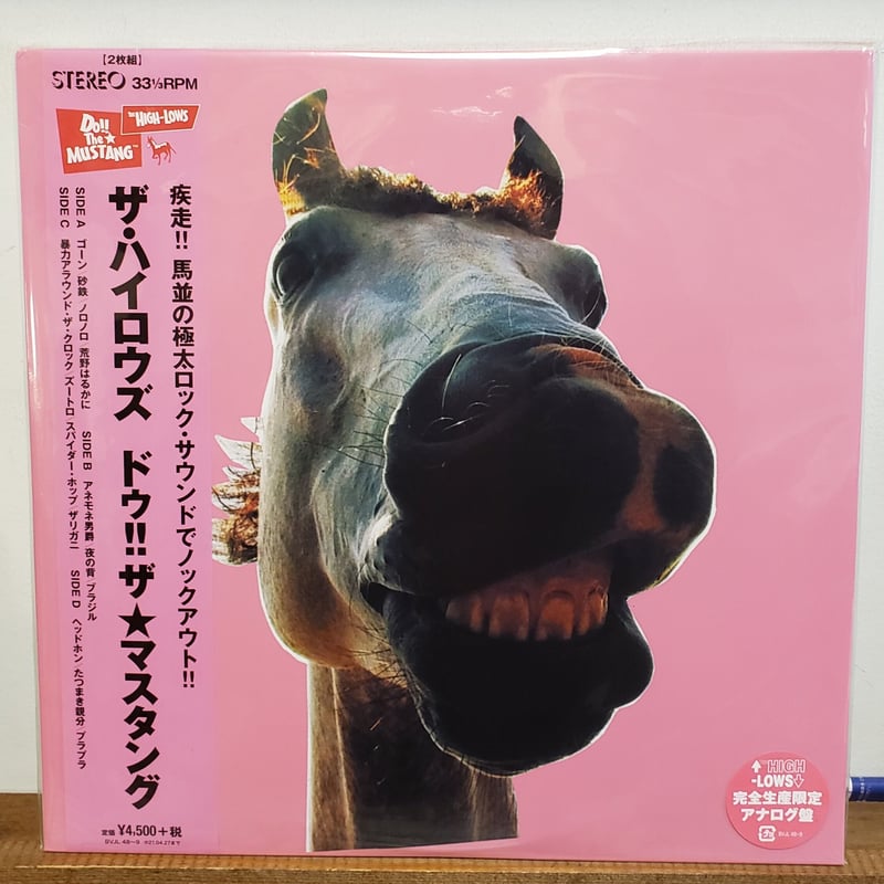 絶妙なデザイン 激レア:ブラッドストーン/ナチュラルハイ アナログLP