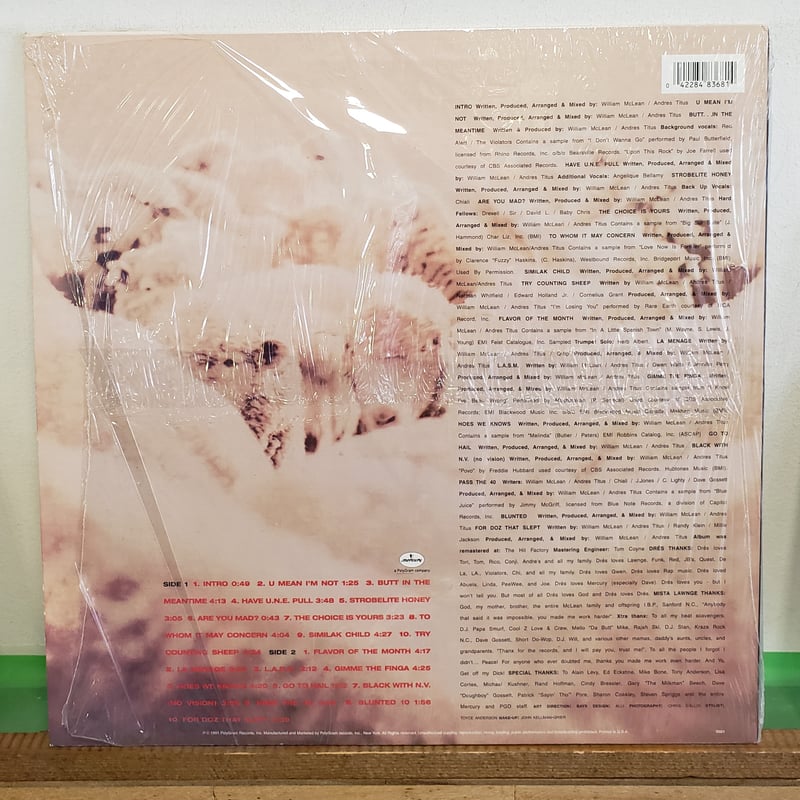 【US オリジナル美品】Black Sheep A Wolf In Sheeps LP)BLACK SHEEP/A WOLF IN SHEEPS CLOTHING 1991