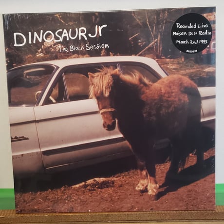 CATEGORY ALTERNATIVE ROCK /INDIE ROCK , LO-FI, CATEGORY ALTERNATIVE ROCK /INDIE ROCK , LO-FI,