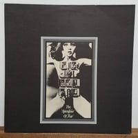 《LP 》FELT / THE SPLENDOUR OF FEAR  ネオアコ名盤 2ND 美盤アナログ