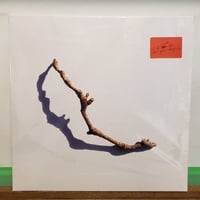 (LP)PJ HARVEY /I INSIDE THE OLD YEAR DYING 2023 NEW 10TH ALBUM 新品未開封シールド盤