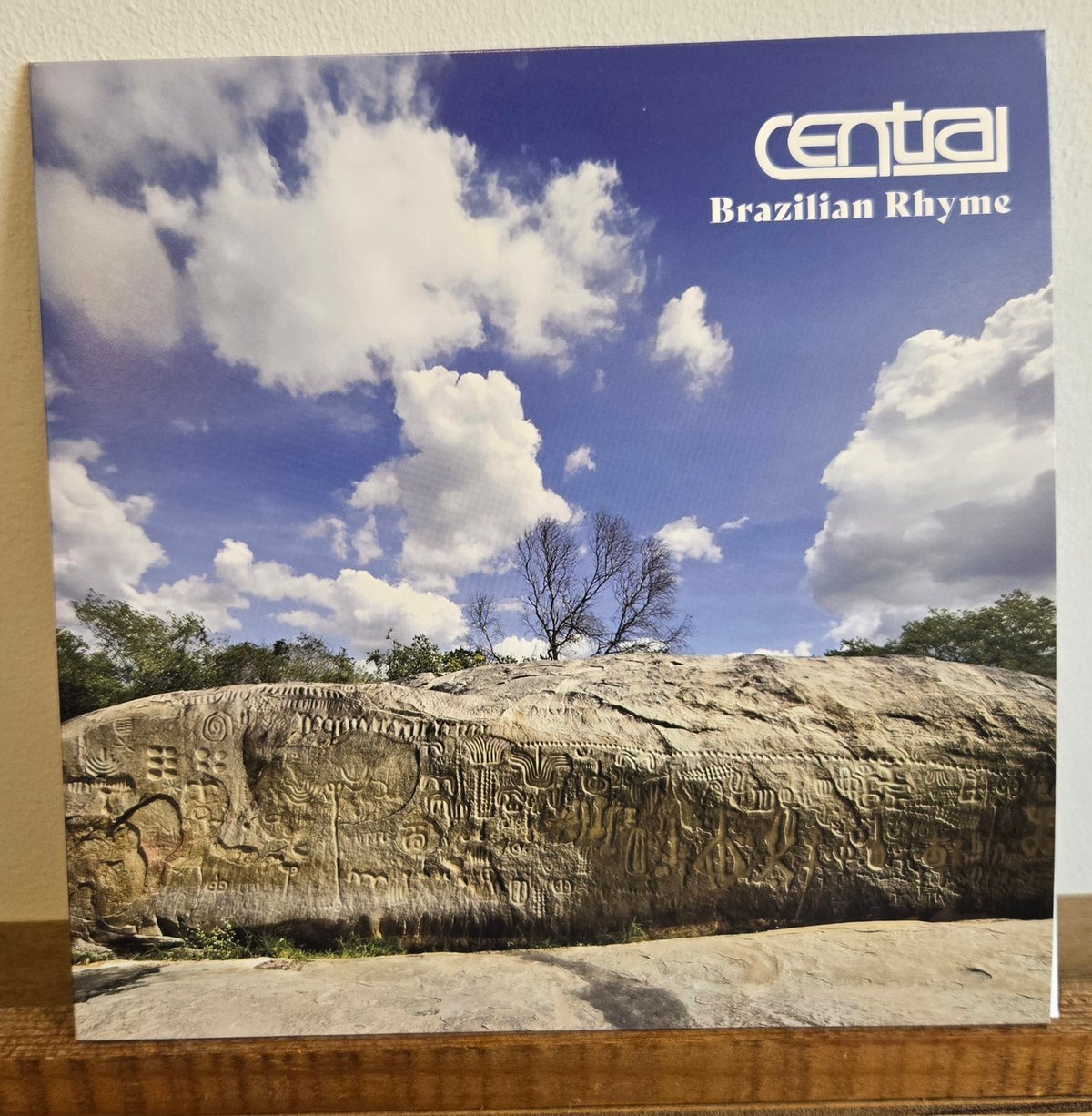 洋楽 Salsa Fever Orchestra - Dicen 7 7EP)CENTRAL / BRAZILIAN RHYME c/w SAMURAI (DJ