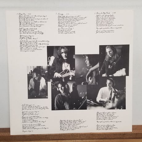 《LP 》THE BLACK CROWES/ THE SOUTHERN HARMONY AND～　92 EURO VINYL