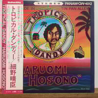 LP)浜本沙良 SARA HAMAMOTO/TRUTH OF LIES 95年作品 遂にアナ